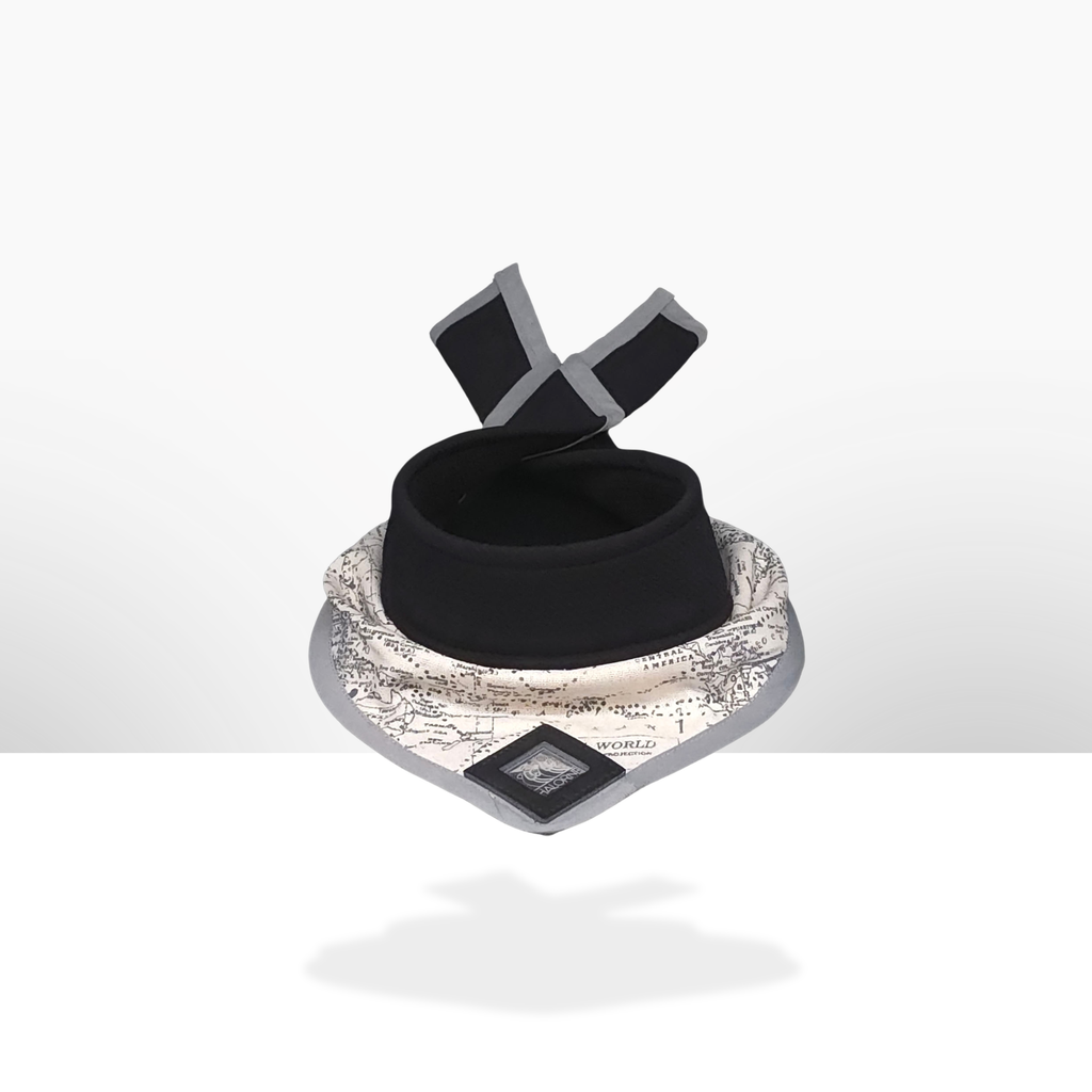 The Gray Traveler - Central